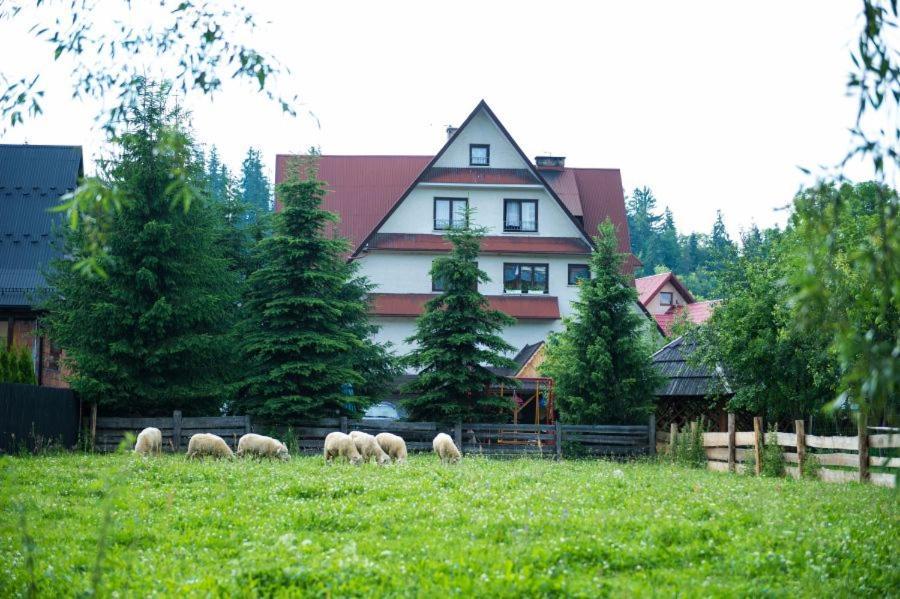 Osrodek Wczasowo-Kolonijny Gron Bed and Breakfast Biały Dunajec Buitenkant foto
